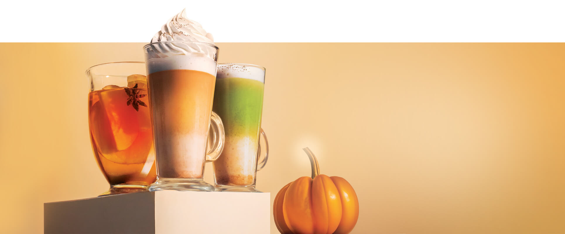 pumpkin 1a