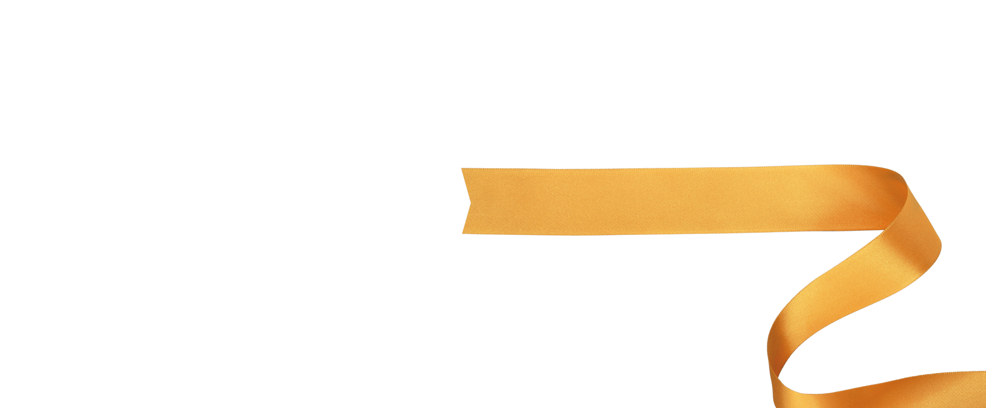 BANNER 2026 1b