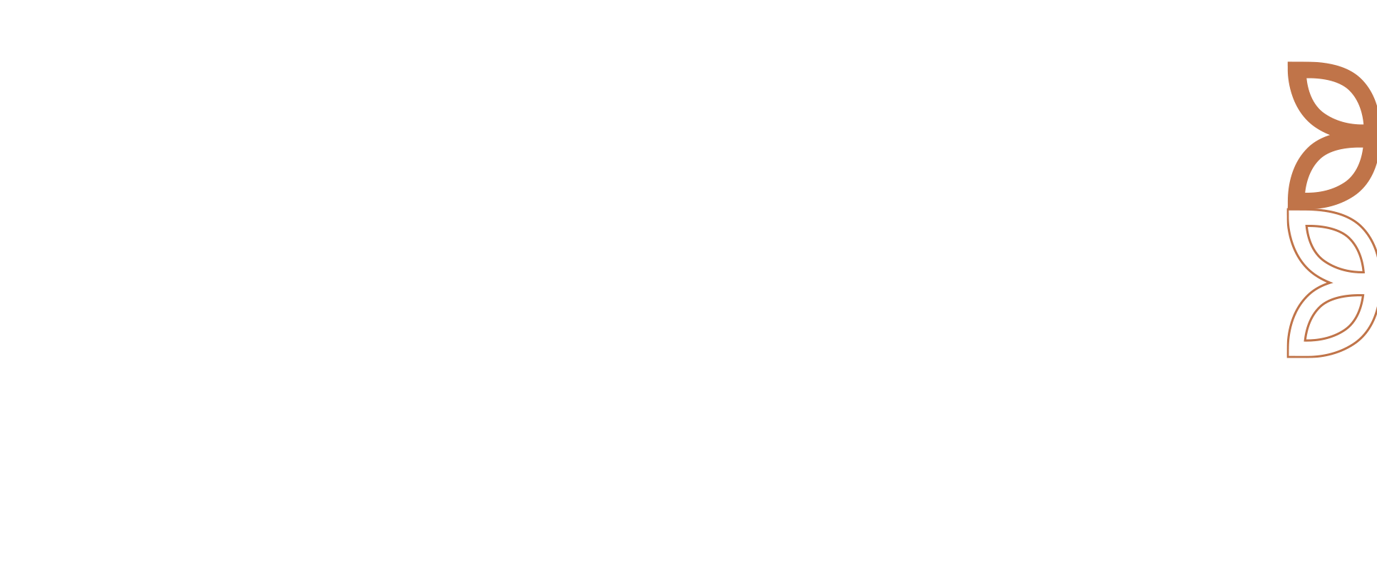 Kawa Sowa 1b